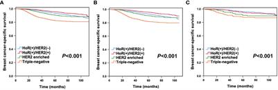 The disparities in prognostic prediction and annualized hazard function in different molecular subtypes between young Chinese and White American women with breast cancer